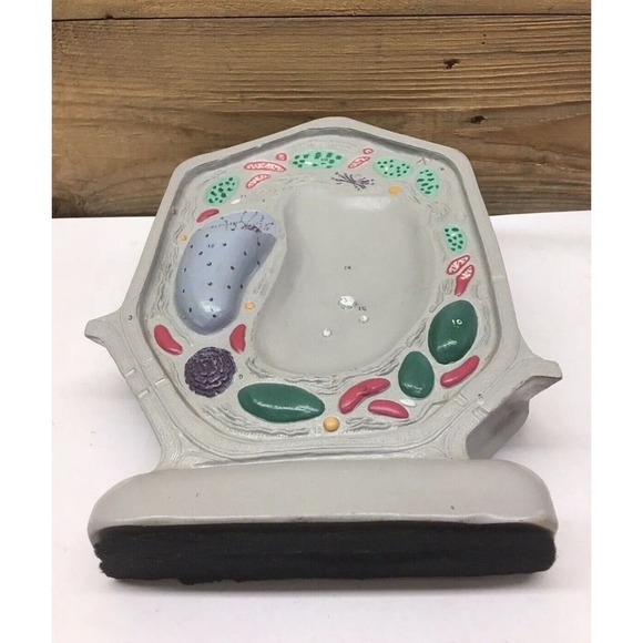 Carolina Biological Supply Plant Cell Model Classroom - Picture 6 of 8